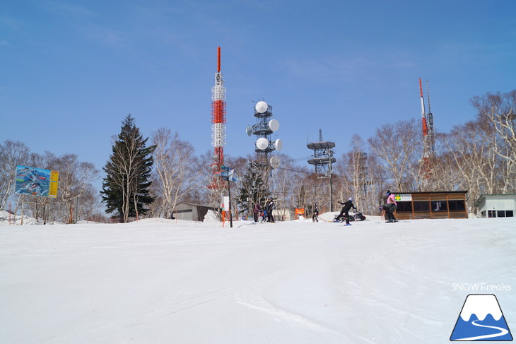 サッポロテイネ 現在積雪 215cm。山麓まで思いっきり滑れます！